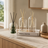 Diffuseur à roseaux en verre, flacon d'huile d'aromathérapie, plusieurs capacités, style luxe léger pour la décoration et l'ambiance de la maison