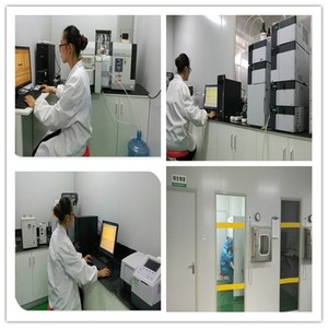 Extracto Herbal de Arándano Puro y Natural de Alta Calidad, Polvo con 25% de Antocianinas, Certificado UV HPLC GMP, para Suplemento de Salud Ocular, en Envase Tipo Tambor - Product Image 4