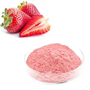 Wholesale Natural Drink Mix Spray Dried Concentrate Competitive Price Free Sample Bulk Organic Strawberry Fruit Juice Powder