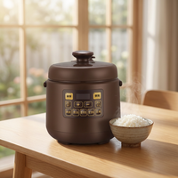 Cuisinière électrique multifonctionnelle de haute qualité pour la maison, 2,5 L, cuiseur à pression, marmite à soupe, cuiseur à riz électrique