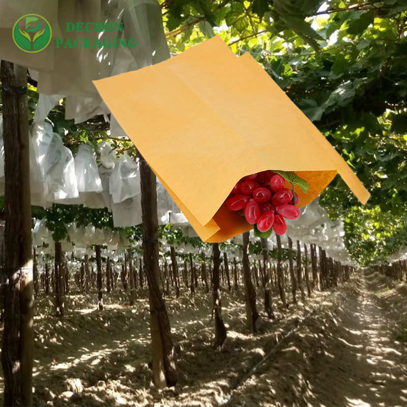 High Quality Mango Cover Bag with Premium Mango Fruit Protection Bags - Top-Tier & Durable
