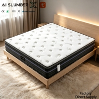 Matelas intelligent chauffant à infrarouge lointain Ai Slumber X avec contrôle par application Wi-Fi pour la maison, la chambre, l'école, l'hôpital et l'hôtel