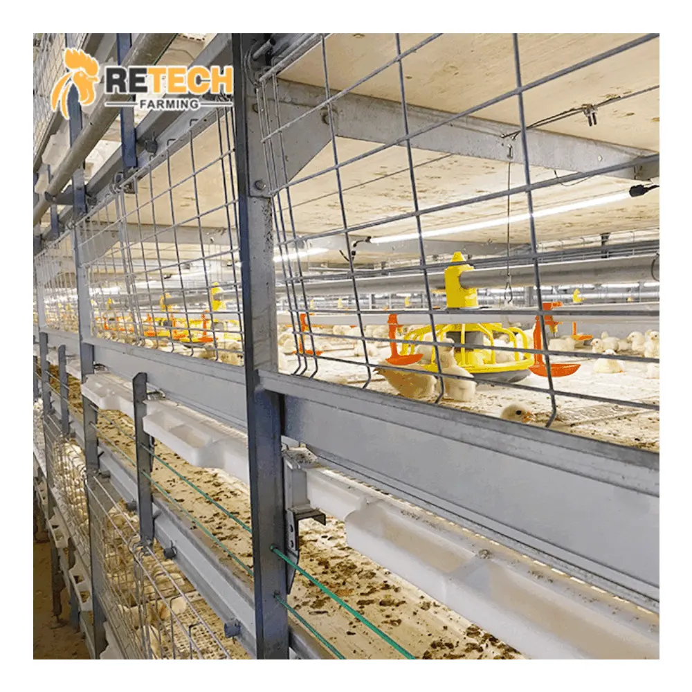 Broiler Chicken Cages for Sale Chicken Farming Automatic Feeding Machine