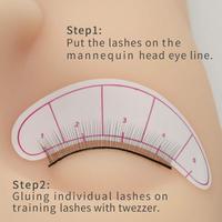 Vente en gros de fournitures de formation de cils, entraînement d'extensions de cils, bande complète, plateau d'entraînement