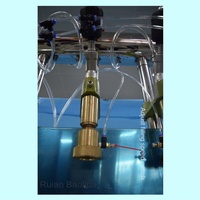 Petite machine de mise en bouteille semi-automatique pneumatique pour eau gazeuse, dioxyde de carbone, jus, boissons gazeuses, boissons pétillantes