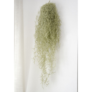 Vente en gros de plantes artificielles d'air de <span class=keywords><strong>tillandsia</strong></span> plantes succulentes en pot en plastique pour la décoration de la maison pour <span class=keywords><strong>le</strong></span> mariage et Thanksgiving - Product Image 3