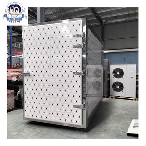 Déshydrateur à pompe à chaleur à grande capacité pour les tranches de fruits, pour les chips de mangue, de pomme, d'ananas et de banane - Product Image 2