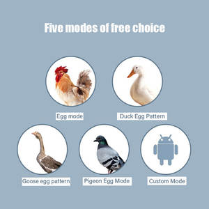 Incubadora Automática <span class=keywords><strong>para</strong></span> 352 <span class=keywords><strong>Huevos</strong></span> <span class=keywords><strong>de</strong></span> Gallina, la Más Vendida del 2026, <span class=keywords><strong>para</strong></span> Cría <span class=keywords><strong>de</strong></span> Aves <span class=keywords><strong>de</strong></span> Corral - Product Image 6