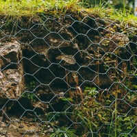 Cage de gabion hexagonale galvanisée robuste 2,7 mm 80x100 ASTM pour le revêtement de canaux