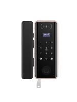 Serrure de reconnaissance de visage TUYA WIFI de vente chaude Eseye avec caméra TT serrure APP carte d'empreintes digitales serrure de porte en verre de bureau numérique