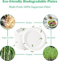 Vaisselle jetable biodégradable écologique personnalisable, assiettes de présentation, couleur naturelle, assiettes en bagasse