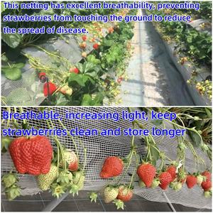 कारखाने थोक 20 सेमी 25 सेमी स्ट्रॉबेरी संरक्षण शुद्ध संयंत्र स्ट्रॉबेरी कीट प्रमाण शुद्ध सूर्य छाया नेट - Product Image 4