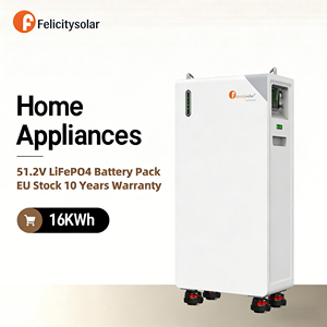 Batterie au lithium fer phosphate (LiFePO4) solaire Felicity FLB48314TG1, pack de batteries au sol 314Ah 16kWh 51.2V, garantie 10 ans, télécommande solaire - Product Image 3