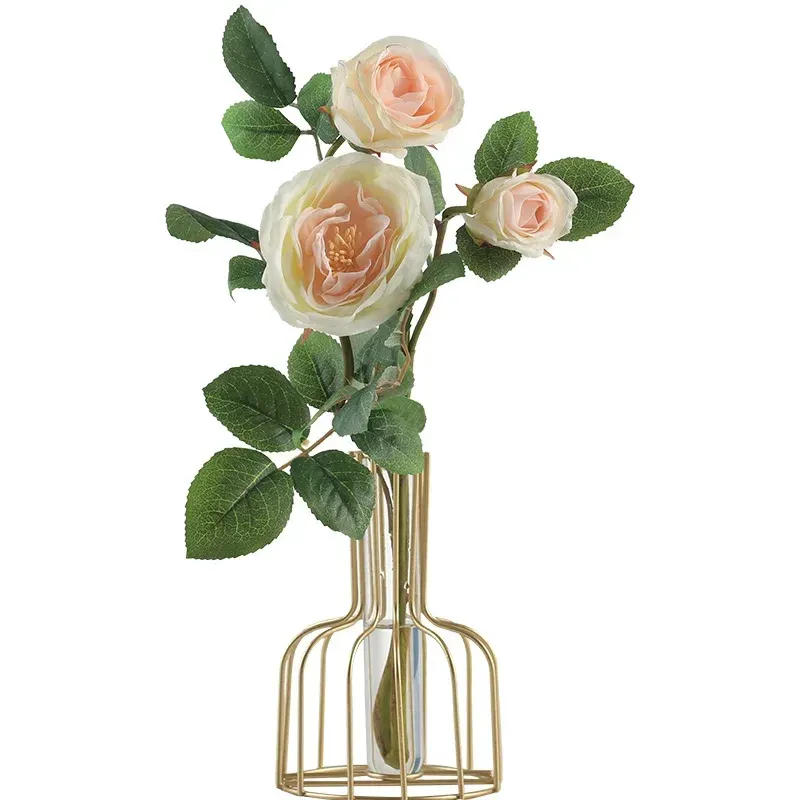 Vas bunga akuatik kreatif rumah Arranger ruang tamu lemari anggur ornamen dekoratif tanaman hijau nanas vas kecil