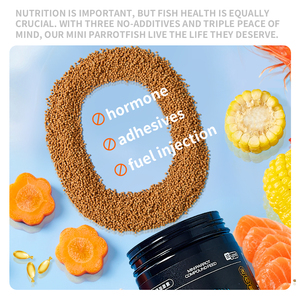 Thức ăn cá cảnh YEE bán buôn, tùy chỉnh, giàu protein, dành cho cá cảnh mini, cá vẹt, cá cichlid - Product Image 3