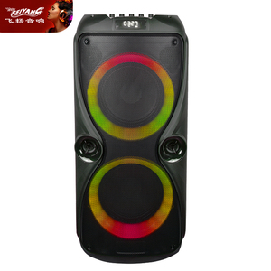 OEM Dynamic Casse Acustiche Party speaker Dual 8 pollici Bluetooth Music player Echo Dot contrabbasso deflette Son Professionnel - Product Image 2