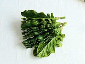 Feuilles <span class=keywords><strong>de</strong></span> <span class=keywords><strong>Gerbera</strong></span> artificielles en PU respectueuses <span class=keywords><strong>de</strong></span> l'environnement, Arrangement <span class=keywords><strong>de</strong></span> fleurs pour corsage <span class=keywords><strong>de</strong></span> Thanksgiving <span class=keywords><strong>de</strong></span> mariage, accessoires décoratifs pour usage intérieur - Product Image 5