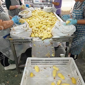 Ligne de production de <span class=keywords><strong>chips</strong></span> de pommes de terre Long Kun - Capable de produire 3000 kg par heure de <span class=keywords><strong>chips</strong></span> de pommes de terre de grande taille - Product Image 6