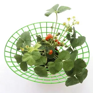 10-Pack Strawberry Supports Adjustable Strawberry Frame Growing Racks Plant Climbing Vine Pillar Garden Stand Balcony Vegetable