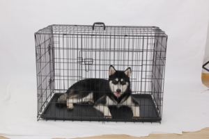 Vietnam'da yapılan çoklu boyutları çift kapı katlanabilir Metal tel kedi köpek sandık evcil hayvan kafesi - Product Image 6