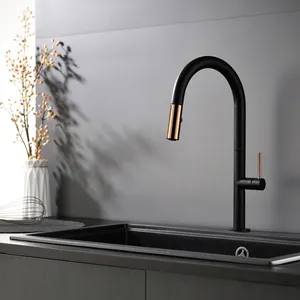 Modern Multifunction Flexible Gourmet Faucet Kitchen Copper Color Sink Faucet Pull Out Down Touch Kitchen Taps