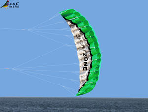 Cerf-volant de Sport à 2 lignes de 2.5m, nouveau design - Product Image 4