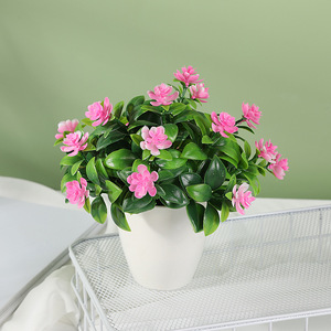 Nuovo prodotto artificiale piante in vaso 4 pz Mini fiore finto per piante <span class=keywords><strong>succulente</strong></span> per soggiorno decorazione ufficio - Product Image 3