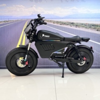 Elektrikli Bisiklet ABD AB Yeni Model Owayebike Black Warrior 3000W ABD için Alüminyum Alaşımlı NFC GPS YÜKSEK HIZLI Çift Disk Frenli E-BİSİKLET