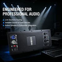 Module d'amplificateur mono classe D 2500DT 2300W, 1500W sous 8 ohms, amplificateur professionnel avec entrée XLR pour subwoofer actif PA