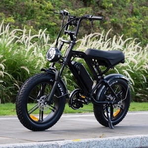 V20 48V 500W Rear Motor 15Ah Lithium Battery Power Ebike with 7 Speed 20*4.0 Inch Fat Tire Electric Mountain <b>Bike</b> - Product Image 4