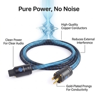 Câble d'alimentation HiFi RASANTEK noir tressé en cuivre plaqué or 1,5 m, amplificateur audio professionnel, prise IEC C13 EU/US, PVC durable, voiture