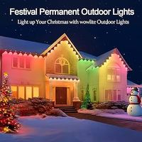 Guirlandes lumineuses intelligentes pour avant-toits, éclairage extérieur permanent RGB IC, étanches, décorations de fêtes, commande par application intelligente, guirlandes lumineuses LED pour les avant-toits de la maison