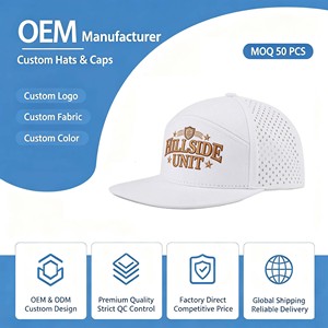 Casquette de baseball en toile imperméable avec logo personnalisé, trous découpés au laser, 100% coton, chapeau de performance pour l'extérieur - Product Image 1
