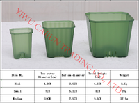 Nouveauté : pots de pépinière carrés en plastique transparent, petits et durables, de 3,85 pouces, pour plantes succulentes, cactus, fleurs, semis, écologiques
