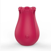 Vibrateur à succion en silicone en forme de rose pour femmes, jouet sexuel pour adultes, modes de vibration multiples, rechargeable par USB, bruit de 50 dB