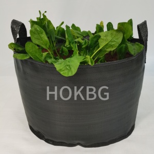 Bolsas DE CULTIVO DE PP HOKBG de 20 <span class=keywords><strong>litros</strong></span>/5 galones para plantar al aire libre, macetas y jardineras, bolsas de cultivo de plástico, bolsas de plántulas, macetas Nersury - Product Image 1