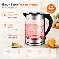 Bouilloire Électrique en Verre 2,2 L, Maintien au Chaud à Touche Unique 65°C, Transparente, 1500W, Prise EU, Pour Maison et Bureau