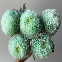 Karangan Bunga Peony Krisan Kunming Yunnan, Bahan Rambut Lurus, Warna Lengkap, Bunga Potong, untuk Pesta Peresmian Rumah dan Kunjungan