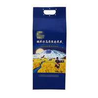Sac en PE tissé de qualité alimentaire 2,5 kg avec poignée confortable et logo personnalisé pour l'emballage du riz en supermarché et vente au détail
