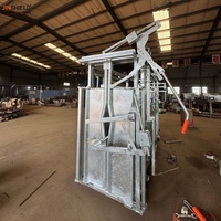 Cage de manipulation pour bétail avec porte frontale et portes latérales pour le traitement médical des animaux
