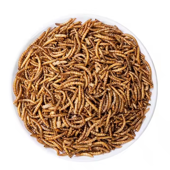 mealworms dried