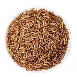 Vente en Gros Directe d'Usine de Larves Riches en Protéines et Nutriments - Insectes Comestibles, Vers de Farine Séchés pour Oiseaux, Amphibiens et Appâts Aquatiques - Product Image 6