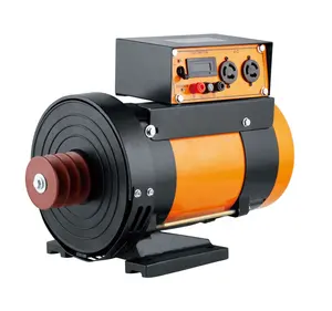 Generatore di energia a dinamo a doppio cuscinetto 2.0KW 2.5KW di piccola potenza DC12V 8.3A tipo di spazzola alternatore con AVR - Product Image 2
