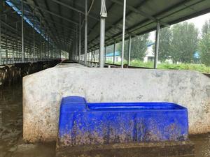 Bể nước cách nhiệt bền cho các trang trại Ciss chịu được-40 ° C, không cần điện phổ quát cho gia súc - Product Image 6