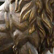 สีน้ำตาล