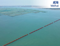 Barrière anti-débris auto-flottante en HDPE haute résistance, durable, avec une durée de vie de 20 ans pour la protection des barrages