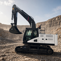 Excavatrice sur chenilles moyenne Euro V 22000 kg avec godet de 1,1 m³ pour travaux de terrassement