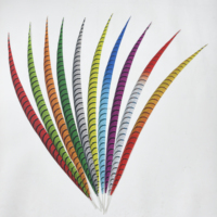 Plumas Sintéticas de Faisán Lady Amherst para Disfraces de Carnaval y Samba, de 60-160 cm