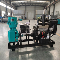 Machine à granulés d'aliments pour animaux à moteur diesel, machine à granulés d'aliments pour animaux de ferme pour bovins, ovins, volailles, porcs
