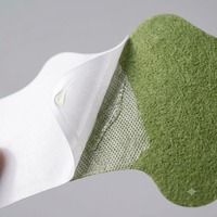 Patch de Soin Corps, Cou et Épaules à l'Armoise Certifié CE, Ajustement Ergonomique, 12 Pièces par Boîte, OEM ODM, Vente en Gros, Stock Prêt, Durée de Conservation 2 Ans